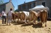 st amans 2011 jugement